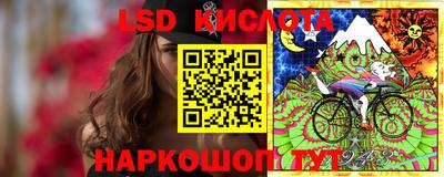 мяу мяу мука Ковров
