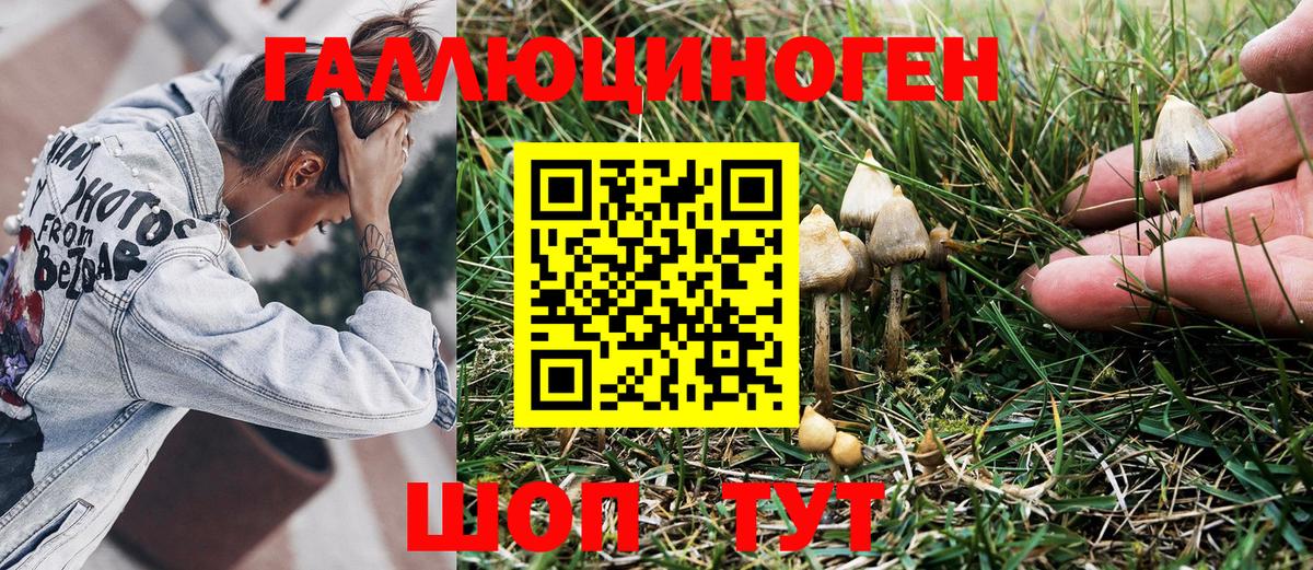 Губкин  Галлюциногенные грибы Magic Shrooms  Псилоцибиновые грибы MAGIC MUSHROOMS  Вход с VPN 