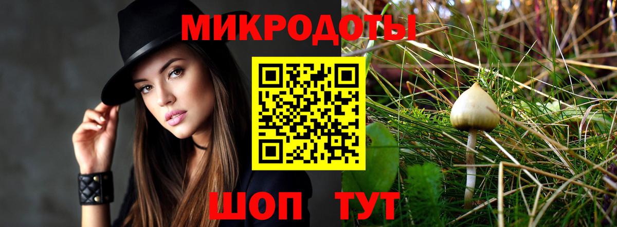 Галлюциногенные грибы прущие грибы Губкин