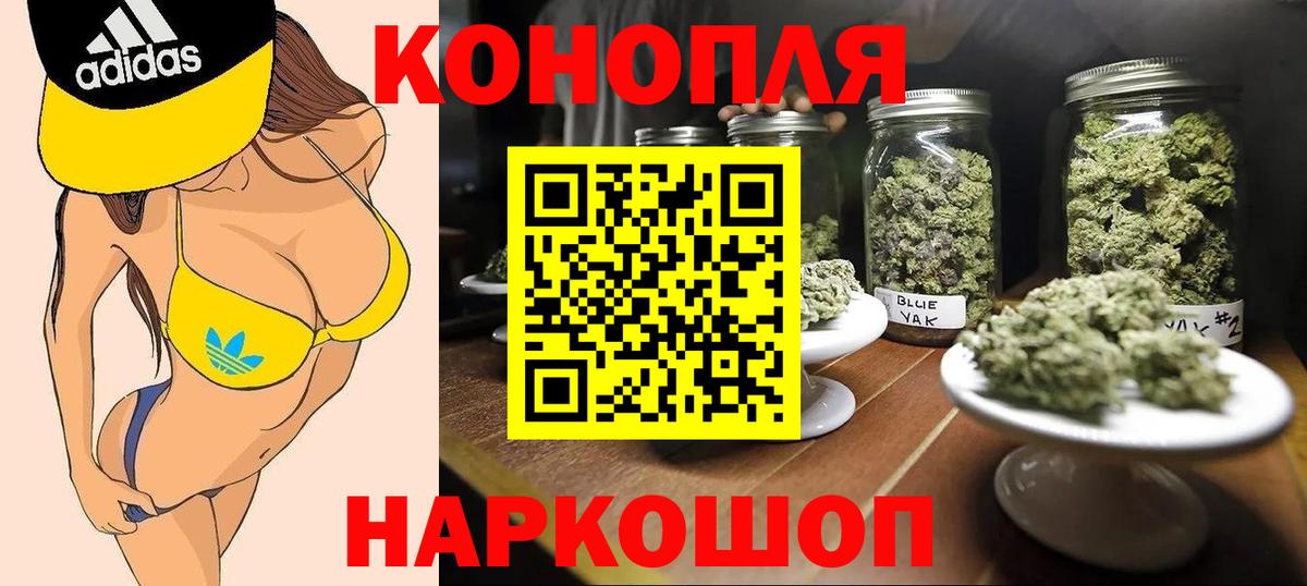 Бошки Шишки тримм Губкин